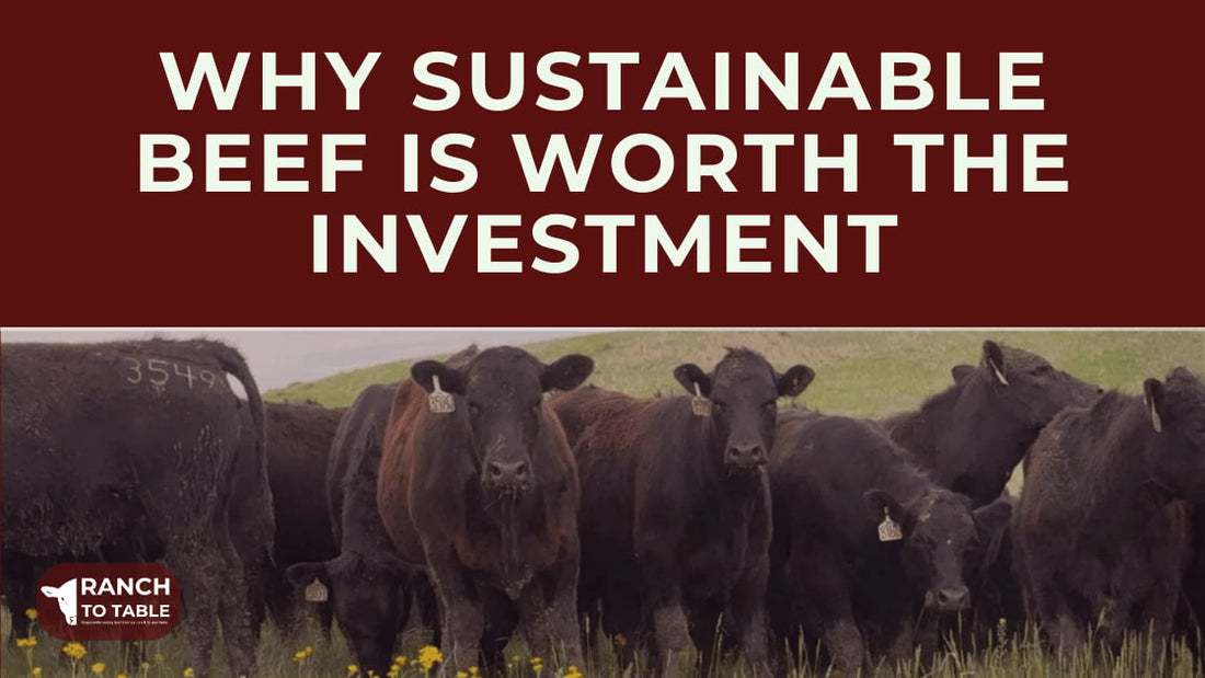 Why Sustainable Beef Is Worth the Investment