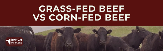 grass fed beef vs corn fed beef